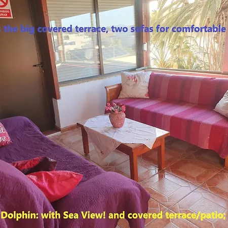 Daire Casa Playitas -clp- Sea View - In 1 Minute Ocean Las Playas