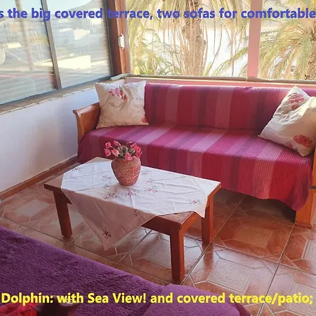 Casa Playitas -clp- Sea View - In 1 Minute Ocean * Las Playas