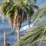 Daire Casa Playitas -clp- Sea View - In 1 Minute Ocean Las Playas