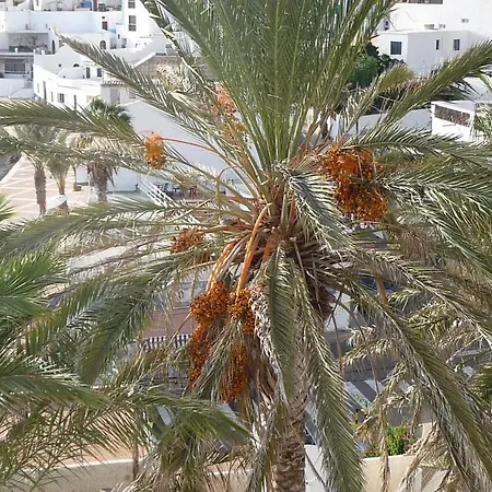 Casa Playitas -clp- Sea View - In 1 Minute Ocean *