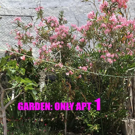 Casa Playitas -clp- Sea View - In 1 Minute Ocean Apartament Las Playas