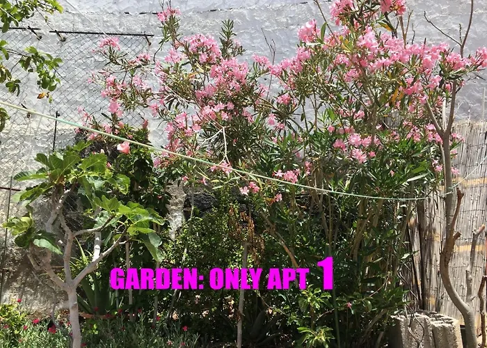 Casa Playitas -clp- Sea View - In 1 Minute Ocean Apartment Las Playas